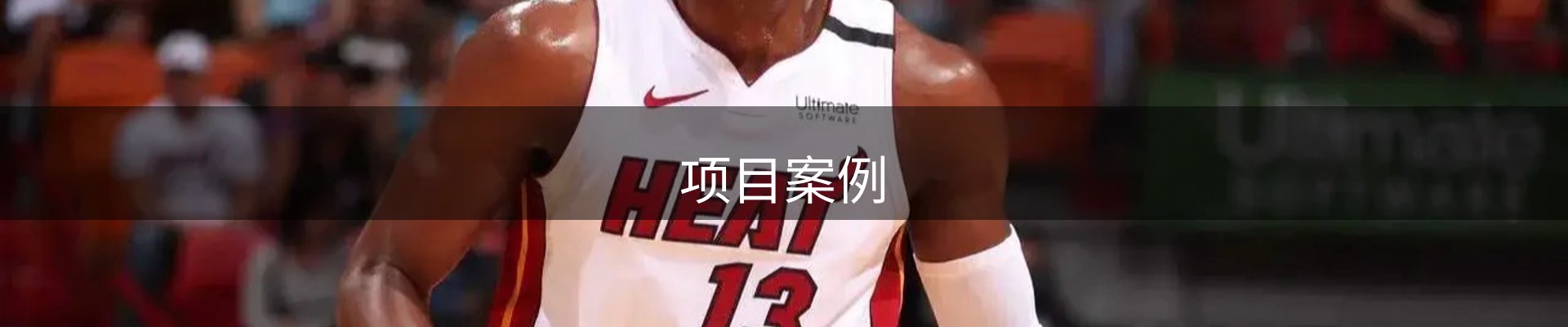 项目案例